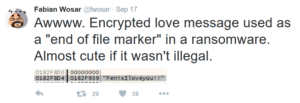 fenixlocker-ransomware-virus-fabien-malicious-decryptor-bestsecuritysearch