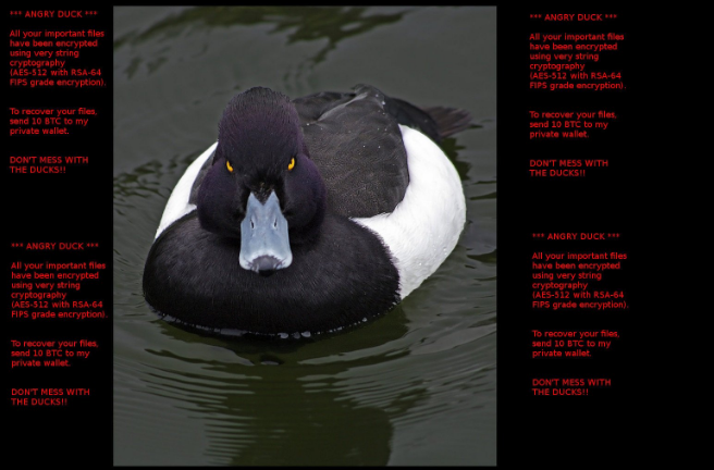 angry-duck-ransomware