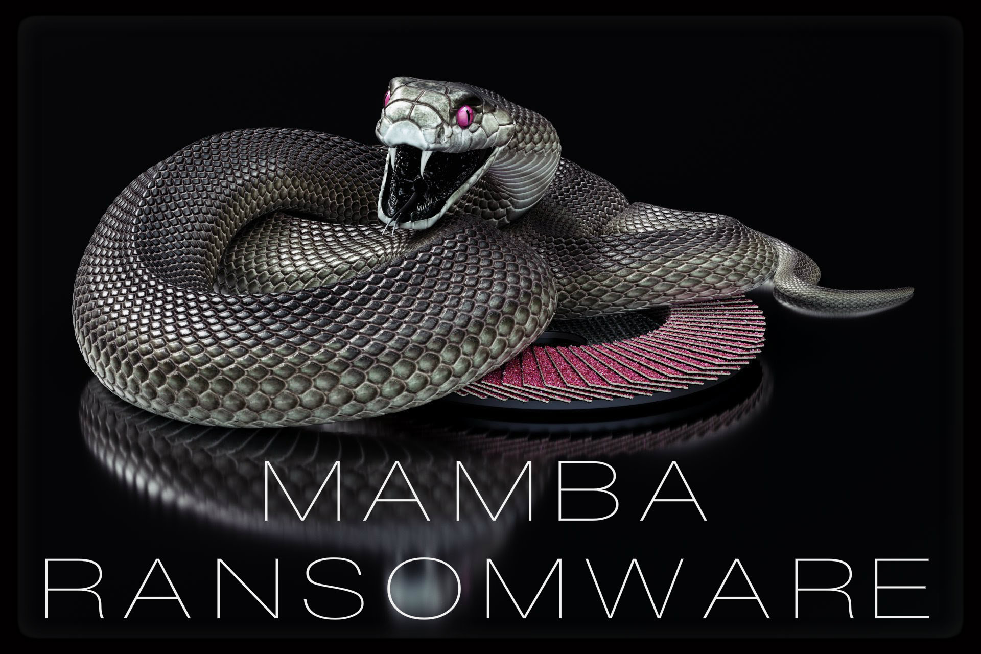 Resultado de imagem para mamba ransomware